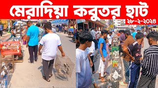 মেরাদিয়া কবুতর হাট ২৮২২০২৪  kobutor hat 2024  pigeon market in bangladesh  meradiya kobutor hat [upl. by Acirt]