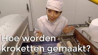 Hoe worden kroketten gemaakt  Doen Ze Dat Zo  Het Klokhuis [upl. by Trevar]