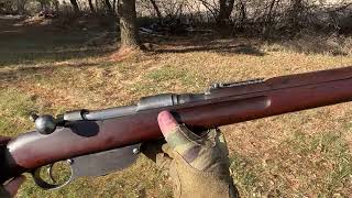 Mannlicher M9530 Long Rifle POV firing [upl. by Enrica855]