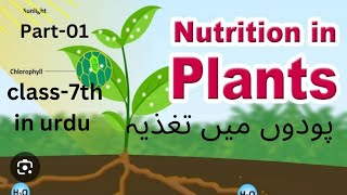 Nutrition in plants پودوں میں تغذیہ class 7 science in urdu part01heterotrophic and autotrophic [upl. by Lamee]