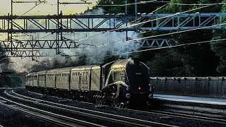 Steam Locomotives At Speed 3 [upl. by Klecka]