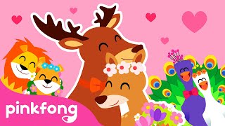 Will You Marry Me  Storytime with Pinkfong and Animal Friends  Cartoon  Pinkfong for Kids [upl. by Marybelle166]