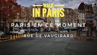 🇫🇷 WALK IN PARIS  RUE DE VAUGIRARD 15122020 PARIS 4K [upl. by Lyrradal398]