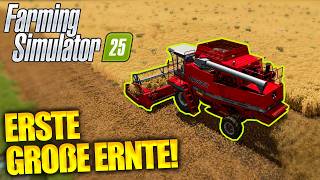 Komplette Ernte einholen Was bekommen wir  Farming Simulator 25 [upl. by Dahlstrom]