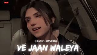 Ijazat Falak ❤️slowed amp reverb lofi song We Jaan waliya slowed amp reverb slowedandreverb [upl. by Ynatsed]