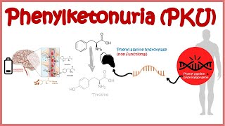 Phenyl Ketonuria  genetic defects in aminoacid metabolism [upl. by Dyke]