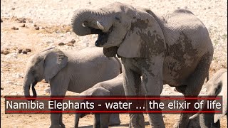 Fascination Namibia 3  Etosha Elephants  water  the elixir of life [upl. by Irama]