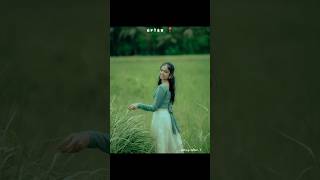 Cinematic green Lightroom Editing shorts cinematic editing preset trending [upl. by Yonit720]