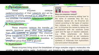 Classification of Enzymes Classification based upon reaction type Classification based upon substr [upl. by Inkster]