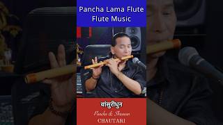 Flute Music  Madal  Basuri Ko Dhun  Bansuri Song  Instrumental Music flute flutemusic shorts [upl. by Auqenet]