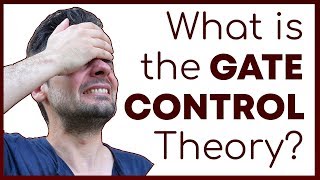 What is the Gate Control Theory of Pain  How Pain Perception Works  Corporis [upl. by Latrina]