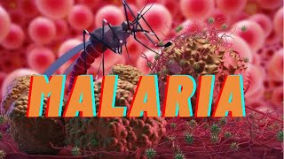 malaria  types causes symptoms and treatment amp prevention [upl. by Kragh]