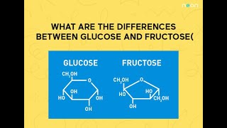 DIFFERENCE BETWEEN GLUCOSE AND FRUCTOSE COMPLETE EXPLANATION jhwconcepts711 [upl. by Eellehs309]