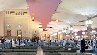 madinah Updates  latest hajj 2024 videos  makkah and madina live  My Hajj 2024 Vlog [upl. by Elisee]