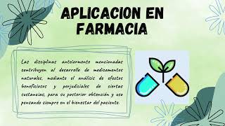 PechaKucha productos fitoterapeuticos [upl. by Accebor293]