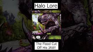 The Flood Cut Off His Jaw Rtas Vadum  the White Elite Shipmaster  Halo Lore [upl. by Retsel164]