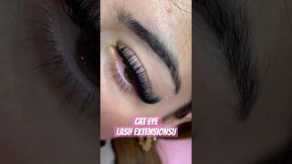 lashextensions lashes youtubeshorts ytshort [upl. by Ladiv]