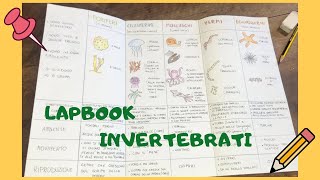 LAPBOOK sugli INVERTEBRATI come realizzarlo Tutorial semplice per classe quarta primaria📚 [upl. by Aiynat]