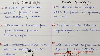 difference between male gametophyte and female gametophyte  reproduction in plants class 12 [upl. by Heise]