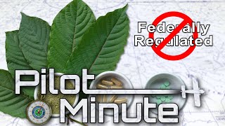 Pilot Minute Why should I be concerned about herbal remedies [upl. by Persson639]