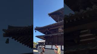 法隆寺に行ってきました 法隆寺 奈良 お寺 旅行 nara travel beautiful temple japanesetemple [upl. by Shanie]