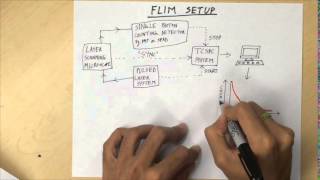 Fluorescence Lifetime Imaging Microscopy FLIM  Overview [upl. by Garling]