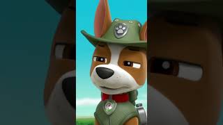 Tracker and baby Humdinger  Paw patrol [upl. by Ultann]