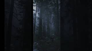 7 Most Haunted Forests in the World 🌲👻 [upl. by Binnings]