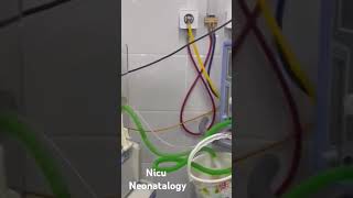 Neonatology  Nicu [upl. by Caren]