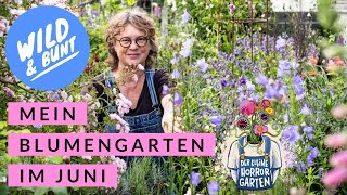 Rundgang Blumengarten im Juni mit CottageGarten Feeling I der kleine Horrorgarten [upl. by Adnawed]