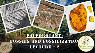 Paleobotany Fossils and Fossilization  Lecture  2 [upl. by Adnilreb]