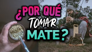 5 RAZONES por qué es BUENO tomar MATE [upl. by Saimon]