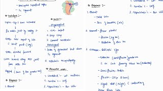 PLANTER REFLEX BABINSKIS SIGN NOTES  ONE PAGE NOTES  CNS  MEDICINE  4TH PROFF  MBBS [upl. by Ike]