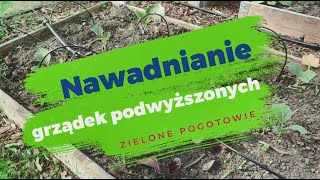 Jak nawadniam grządki podwyższone w warzywniku [upl. by Ttoille]