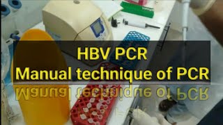 HBV PCR test PCR test Manually [upl. by Skye]