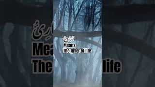 The life giver [upl. by Barbara-Anne]