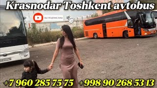 79650496969Краснодар Ташкент автобус Краснодар Худжанд Душанбе автобус Ростов Ташкент Худжанд [upl. by Livesay833]