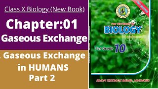 ch1 Gaseous Exchange in Human part 2  class 10 new biology book  BIOs Attraction [upl. by Meris]