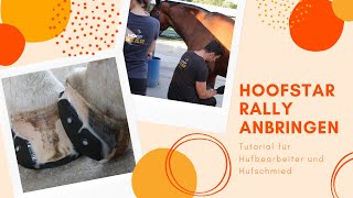 Hufbearbeiter Tutorial Hoofstar Klebebeschlag anbringen und abnehmen  FAQ  Hoofstar [upl. by Studner952]