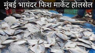 Mumbai Bhayandar Fish Market wholesale Fish Market In Mumbai Vlog [upl. by Sherrod878]