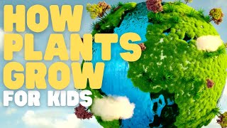 How Plants Grow for Kids  Learn about photosynthesis and what plants need to grow strong [upl. by Nnylirehs]