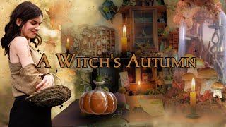 13 Magical things to do this Autumn 🍂 Simple ideas ✨️ DIYs 🧹 Altar  Potions  Bakes 🥧 [upl. by Nauqan]