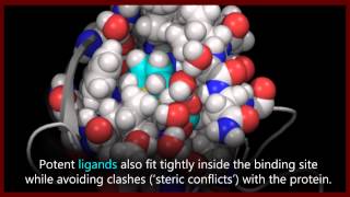 A basic introduction to drugs drug targets and molecular interactions [upl. by Dodge]