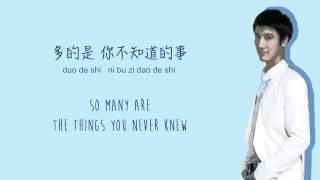 Wang Leehom王力宏  All the Things You Never Knew你不知道的事 Color Coded ChiPinEng Lyrics [upl. by Hartman]