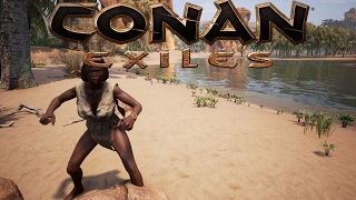 Conan Exiles  Guide to Thralls [upl. by Ueihtam]