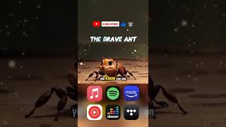 The Brave Ant  Fairy Tale Songs For Childrens [upl. by Sigfrid750]