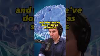 CRISPR Explained Gene Editing Made Simple  Joe Rogan amp David Sinclair JRE 1234 [upl. by Silvie]