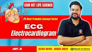 MPC36 ECG Electrocardiogram  Animal Physiology  Most important topicsCSIR NET Life Science 2024 [upl. by Ylurt]