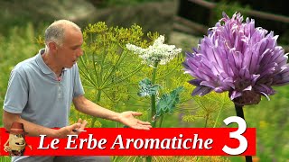 I segreti delle Erbe Aromatiche  parte 3 [upl. by Neema410]