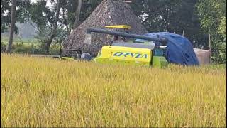 Best Multi crop ORYZA combined Harvester in india [upl. by Dadinirt]